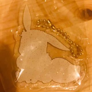 ポケモン - おゆまる様専用 ポケモン イーブイ アクリル チャーム