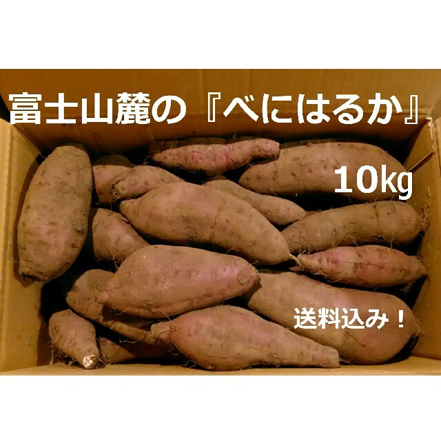 富士山麓で収穫したサツマイモ「べにはるか」10kg　　18111901 食品/飲料/酒の食品(野菜)の商品写真