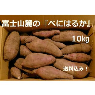 富士山麓で収穫したサツマイモ「べにはるか」10kg　　18111901(野菜)