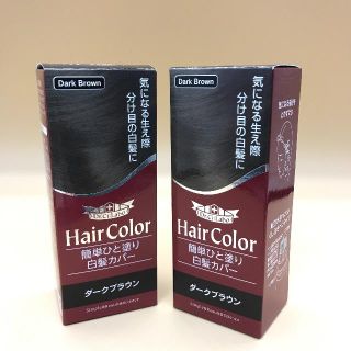 ドクターシーラボ(Dr.Ci Labo)のドクターシーラボ 簡単ひと塗り白髪カバー ダークブラウン 10ml 2本セット (白髪染め)