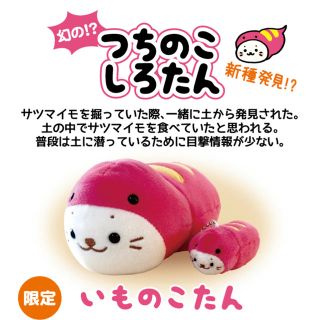 横浜限定】つちのこしろたん いものこたんセットの通販 by しろたん's 横浜限定】つちのこしろたん いものこたんセットの通販 by しろたん's