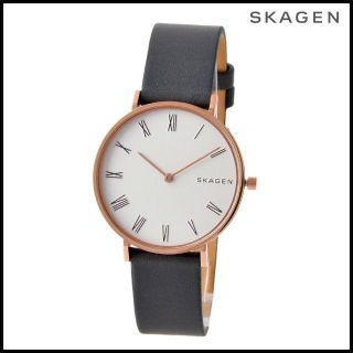 スカーゲン(SKAGEN)のスカーゲン SKAGEN SKW2674 ハルド レディース 腕時計(腕時計)