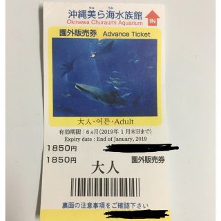 美ら海水族館のチケット(大人)(水族館)