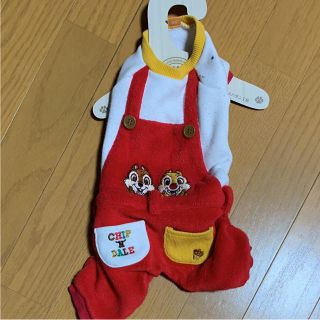 チップアンドデール(チップ&デール)のDisney チップとデール 秋冬犬服(犬)