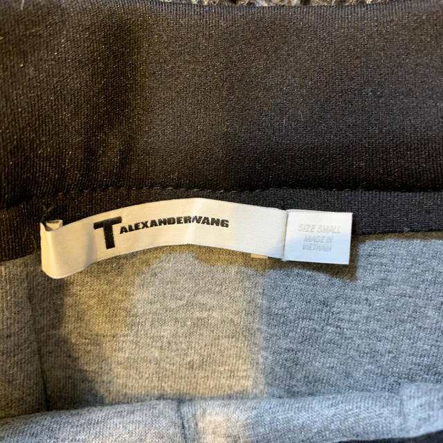 Alexander Wang(アレキサンダーワン)の【T by ALEXANDER WANG】プリーツミニスカート 美品 レディースのスカート(ミニスカート)の商品写真