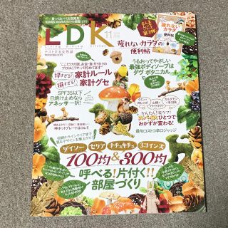 【新品】LDK11月号 2018(住まい/暮らし/子育て)