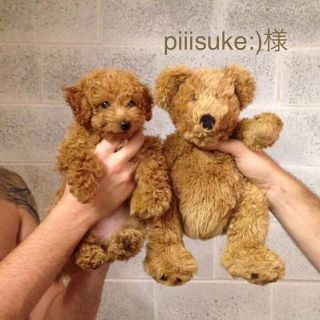 piiisuke:)様専用ページ♡(オーダーメイド)