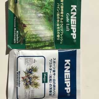 クナイプ(Kneipp)のKneipp クナイプ バスソルト ワコルダー パイン&モミ(入浴剤/バスソルト)