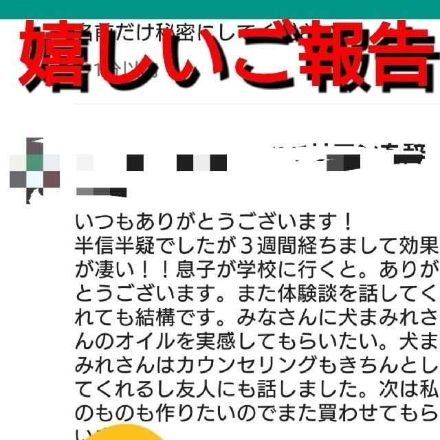 30mlタイガーアイ入り【億万長者】金運上昇願いが叶うメモリーオイル 開運