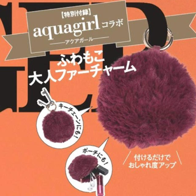 aquagirl(アクアガール)のGINGER 1月号付録 レディースのファッション小物(ポーチ)の商品写真