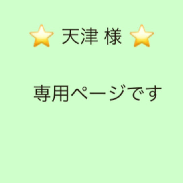 即納！最大半額！】 天津 様 専用ページです その他