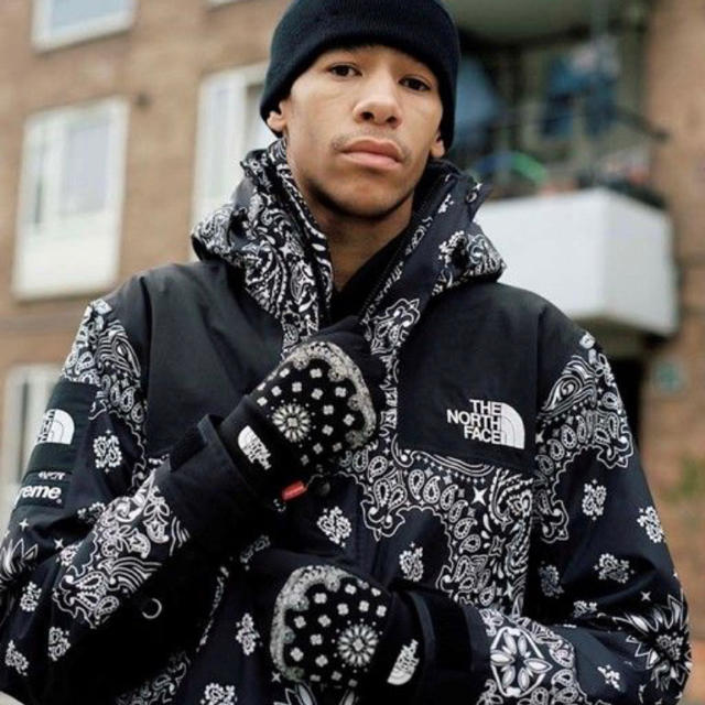 Supreme - 【新品】Supreme THE NORTH FACE glove バンダナ 手袋の通販