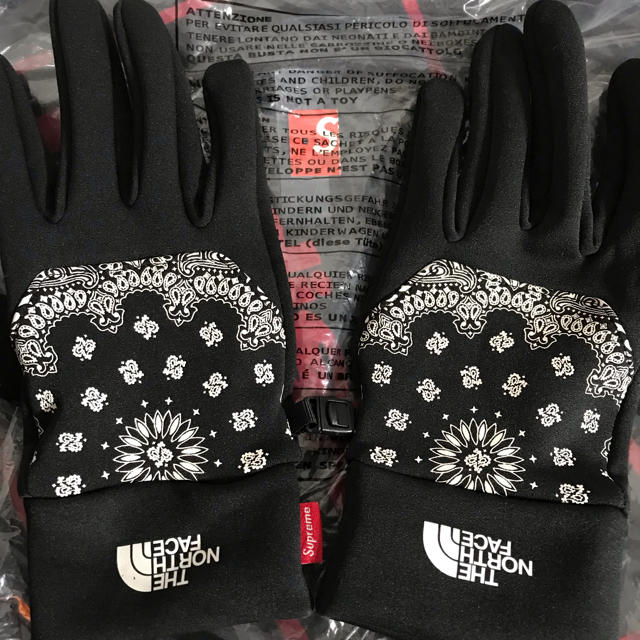 Supreme - 【新品】Supreme THE NORTH FACE glove バンダナ 手袋の通販