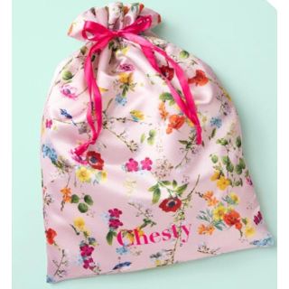 チェスティ(Chesty)の最終お値下げ❣️Chesty☆2018AW非売品オリジナル巾着袋(小)🕊💕(ノベルティグッズ)