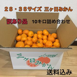 ２Ｓ・３Ｓサイズ訳あり品。三ケ日みかん10キロ詰め合わせ(フルーツ)