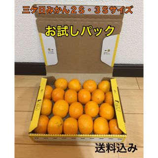 ２Ｓ・３Ｓサイズ！訳あり三ケ日みかんお試しパック(フルーツ)