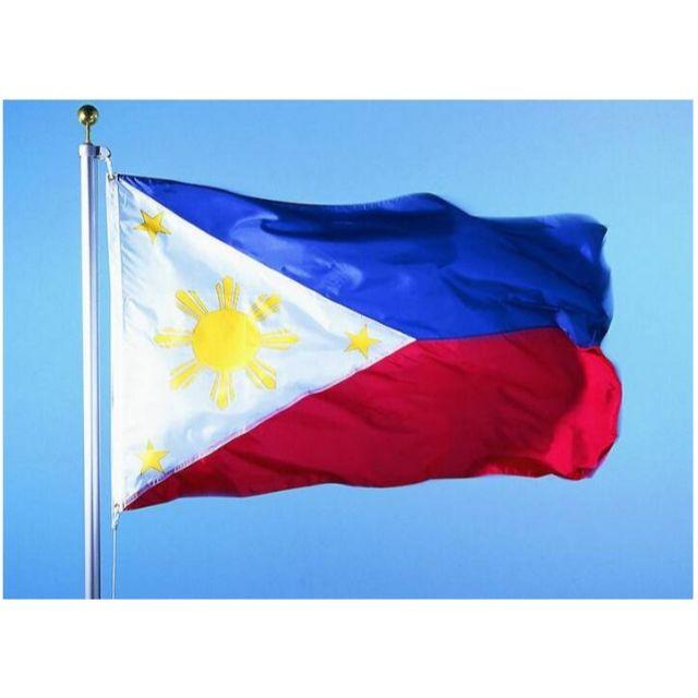 フィリピン国旗 国旗 フラッグ 旗 90 150cmの通販 By とくさん S Shop ラクマ