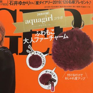 アクアガール(aquagirl)のGINGER 1月号 付録(キーホルダー)