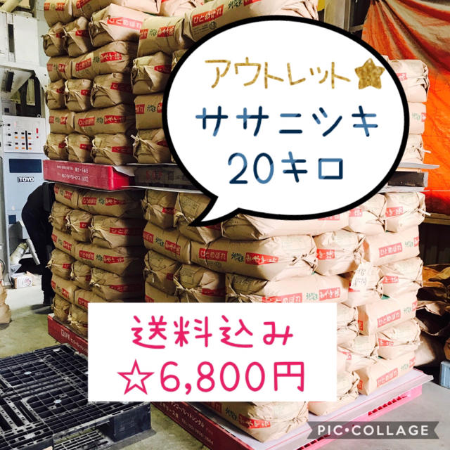 きょん様専用ページ☆古米！宮城県産ササニシキ20キロ 食品/飲料/酒の食品(米/穀物)の商品写真