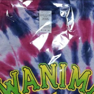 ワニマ(WANIMA)のWANIMAロングTシャツ　【タイダイ　紫】M(ミュージシャン)