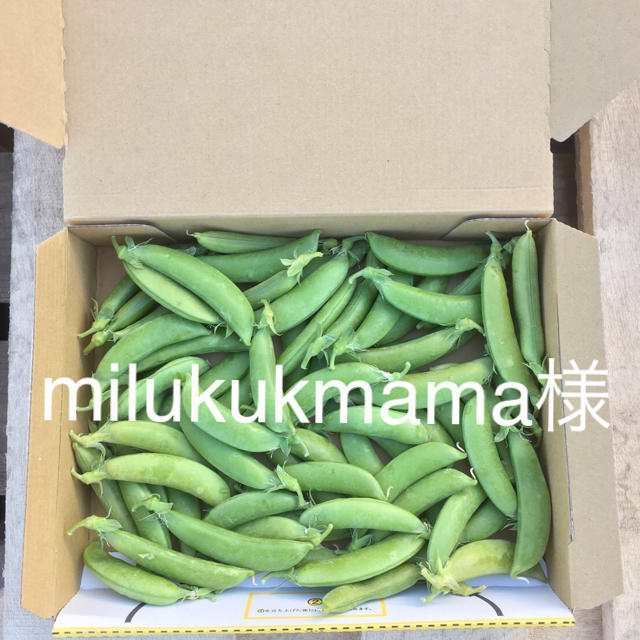 鹿児島産スナップエンドウ500g^_^ 食品/飲料/酒の食品(野菜)の商品写真