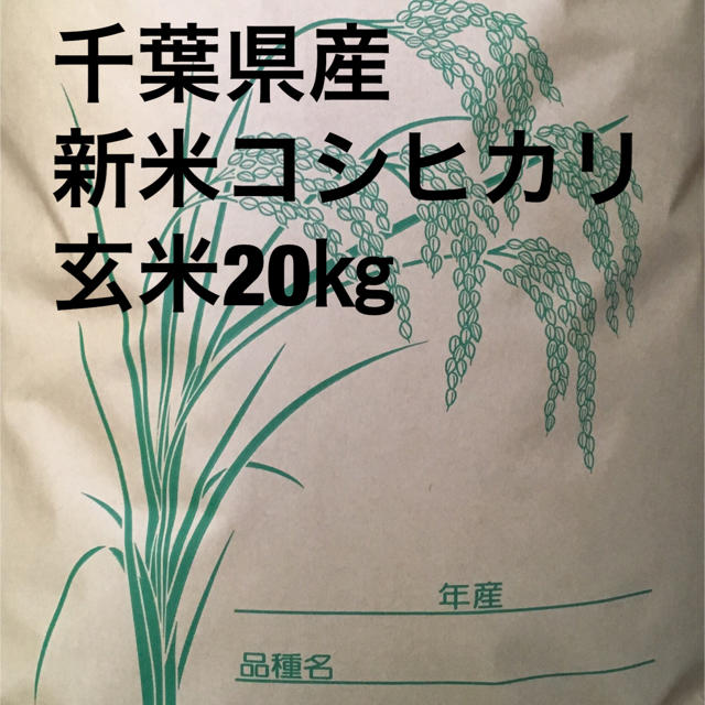 新米コシヒカリ玄米20キロ食品
