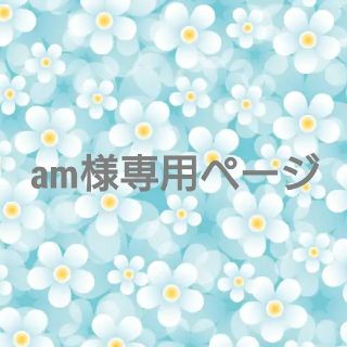 am様専用ページ(リング)