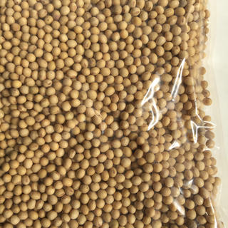 大豆１ｋｇ　安心の国内産(米/穀物)