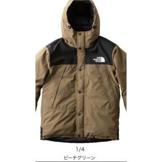 ザノースフェイス(THE NORTH FACE)のノースフェイス マウンテンダウンジャケット ビーチグリーン L(ダウンジャケット)