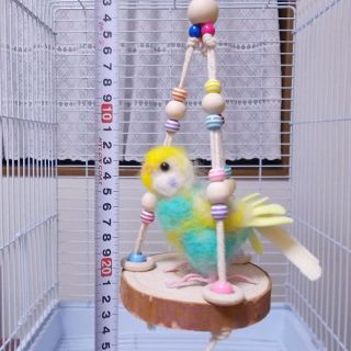 まるい止まり木のブランコ  直径約10cm. ナチュラル(鳥)