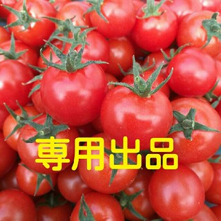 ぴっぴ様専用☆熊本県産ミニトマト１㎏(収穫当日発送)(野菜)