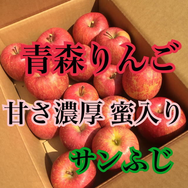 りんご 果物 食品/飲料/酒の食品(フルーツ)の商品写真