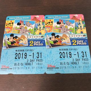 ディズニー(Disney)のディズニーリゾートライン 2DAY PASS(遊園地/テーマパーク)