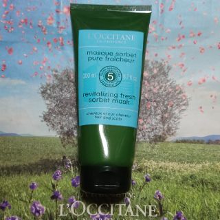 ロクシタン(L'OCCITANE)のロクシタン ピュアフレッシュネス ソルベヘッドスパ 200ml 新品(スカルプケア)