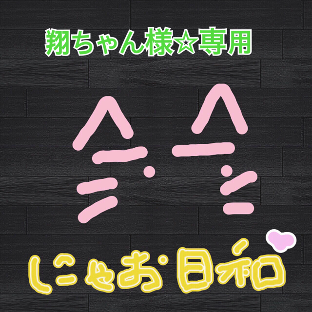 翔ちゃん様☆専用 嵐 日立 トリセツ 取扱説明書 ファイル 送料込み エンタメ/ホビーのタレントグッズ(アイドルグッズ)の商品写真