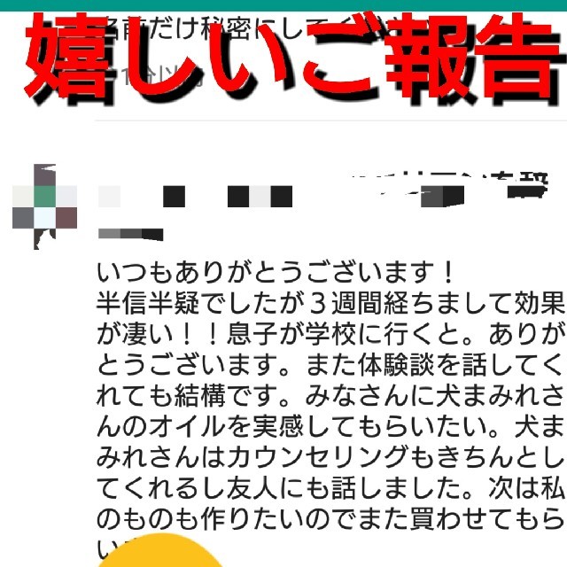 30ml水晶さざれ石入り 幸運へ導く 開運 メモリーオイル スプレーアロマオイル コスメ/美容のリラクゼーション(アロマオイル)の商品写真