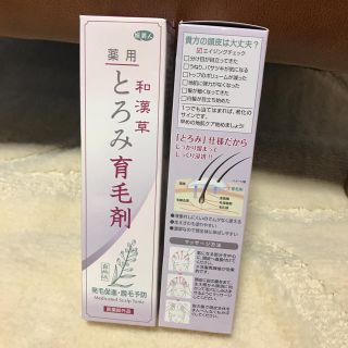 二本セット 育毛剤 頭皮ケア 育毛 発毛 サロン 美容(スカルプケア)