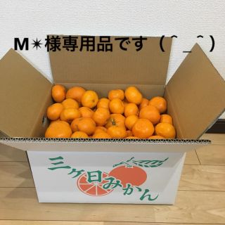 Ｍ✴︎様専用品となります。(フルーツ)