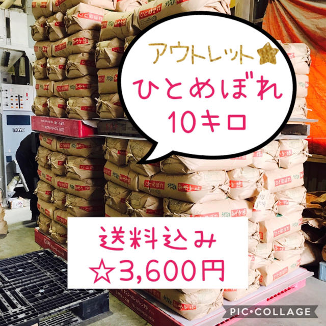 最終値下げ！！古米☆宮城県産ひとめぼれ10キロ 食品/飲料/酒の食品(米/穀物)の商品写真