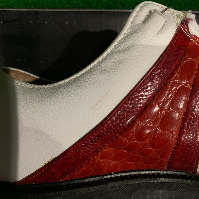 FootJoy(フットジョイ)のフットジョイ icon スポーツ/アウトドアのゴルフ(シューズ)の商品写真