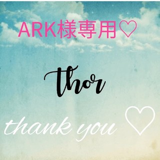 ARK 様専用☆(ソックス)