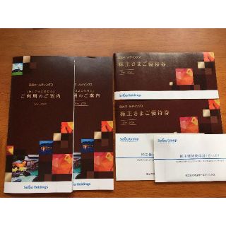 サイタマセイブライオンズ(埼玉西武ライオンズ)の西武・西武鉄道・株主優待・送料無料・最新・1000株・2セット・内野指定席券(その他)