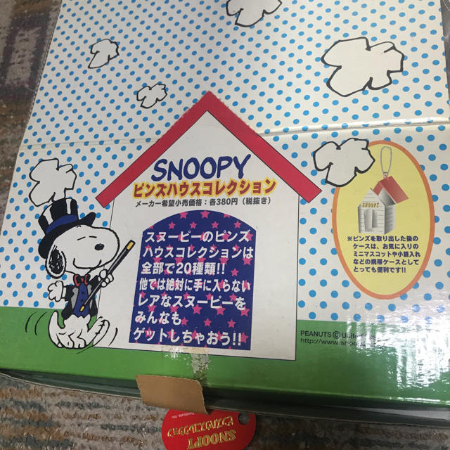 SNOOPY ピンズハウスコレクション