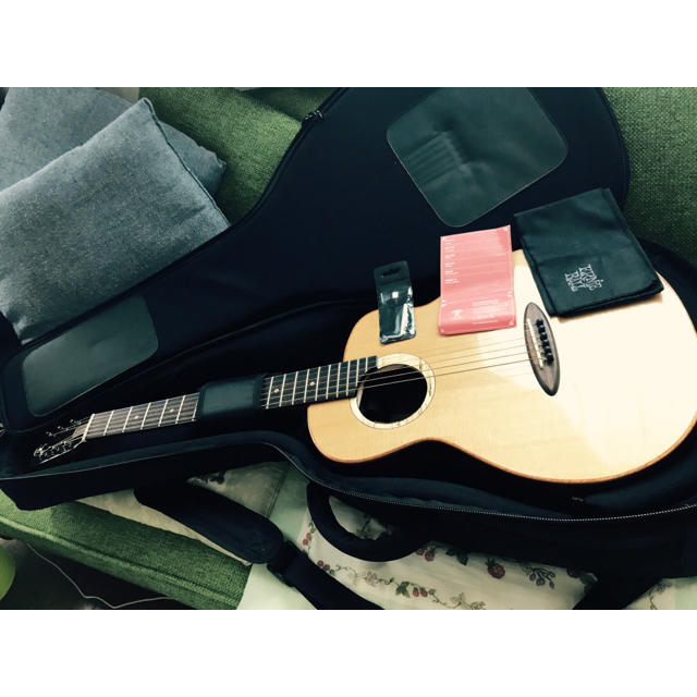 aNueNue Bird Guitar M100 オール単板 ミニギターの通販 by M's shop