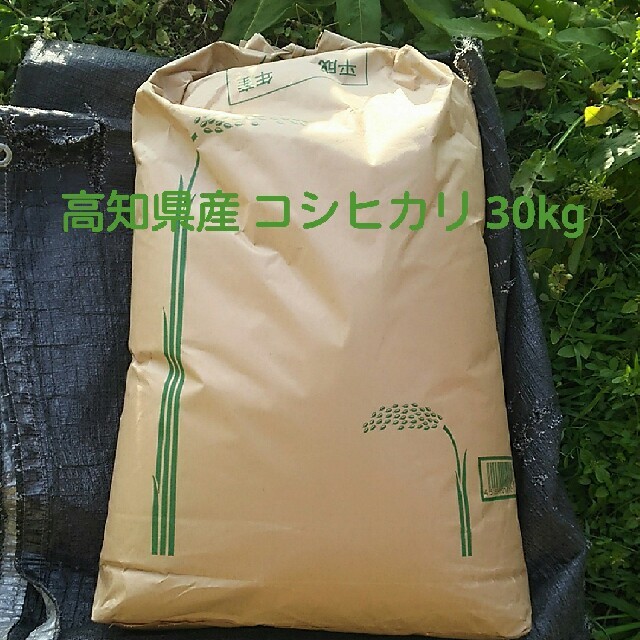 新米新米 コシヒカリ 玄米 30Kg☆