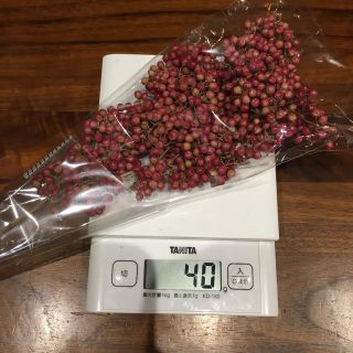 ペッパーベリーピンク40g(ドライフラワー)