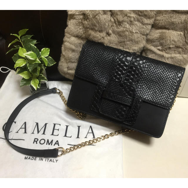 ZARA(ザラ)のCAMELIA ROMA/カメリアローマ レザーショルダーチェーンバッグ レディースのバッグ(ショルダーバッグ)の商品写真