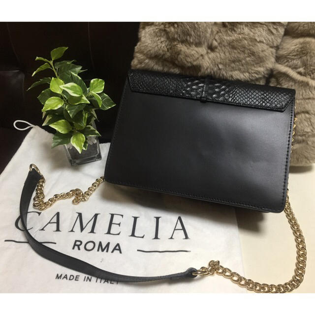 ZARA(ザラ)のCAMELIA ROMA/カメリアローマ レザーショルダーチェーンバッグ レディースのバッグ(ショルダーバッグ)の商品写真