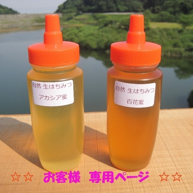 みっきー様専用ページです☆アカシア蜜&百花蜜 - funespar.org