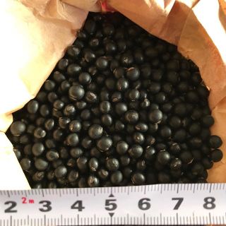 北海道産 黒千石豆 300g 新豆(野菜)